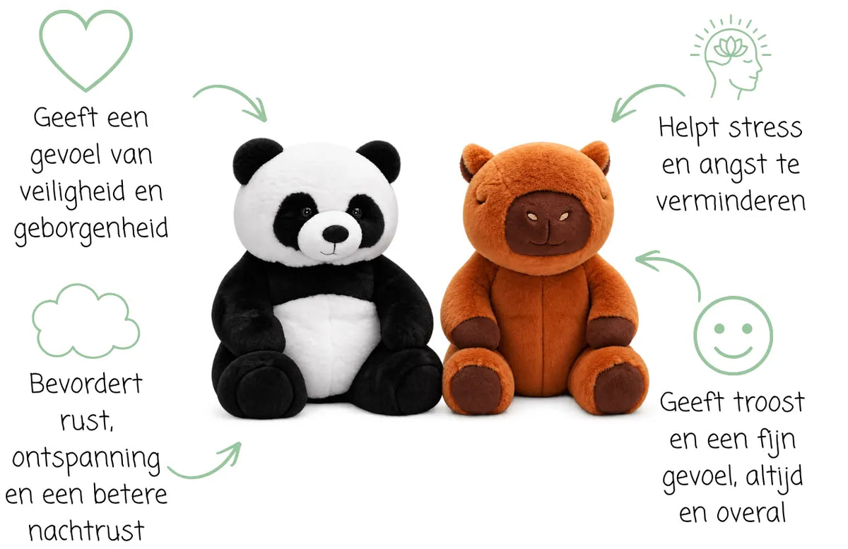 Banner panda en capybara met voordelen witte achtergrond